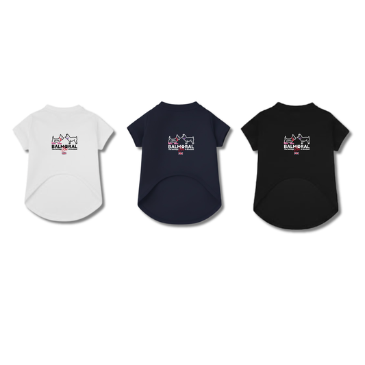 男色ディーノとハク×BM ドッグウェア / Tシャツ(S〜3XL)
