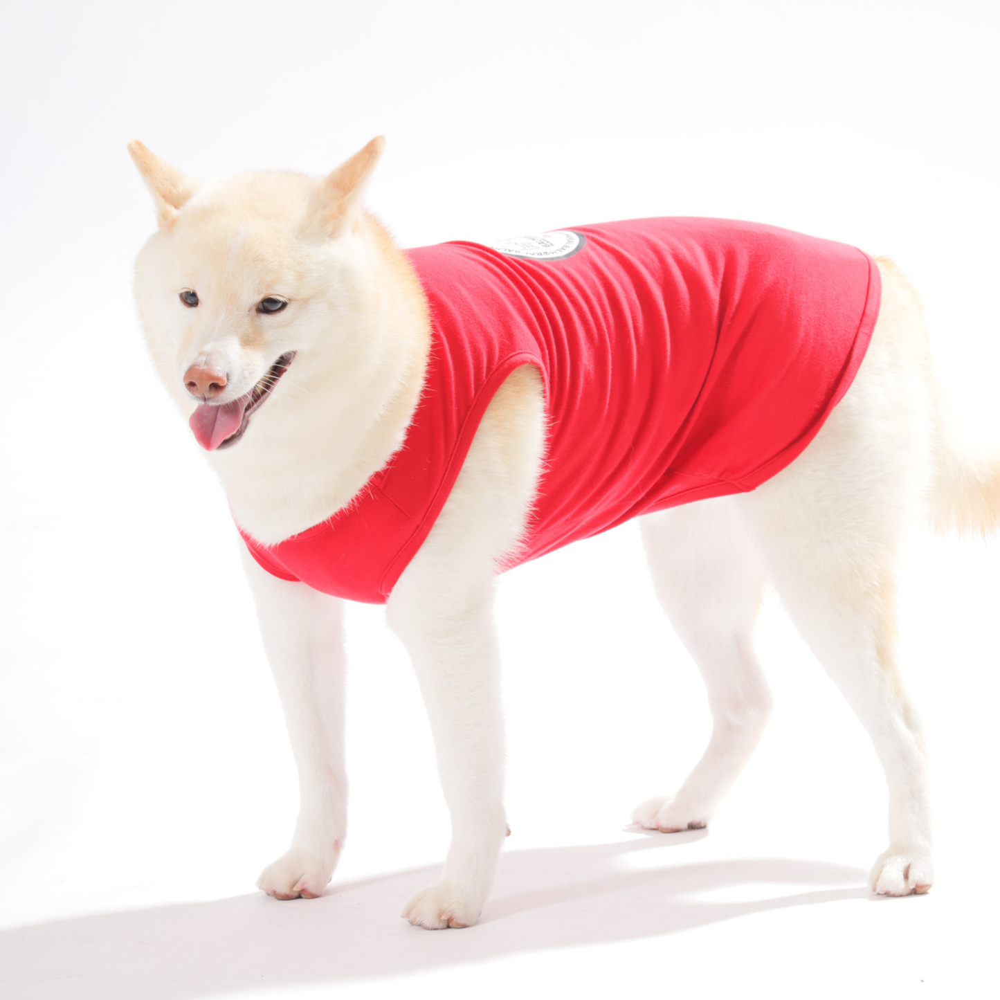 男色ディーノとハク×BMドッグウェア / タンクトップ（S〜3XL）+PURE WASH SHAMPOOセット