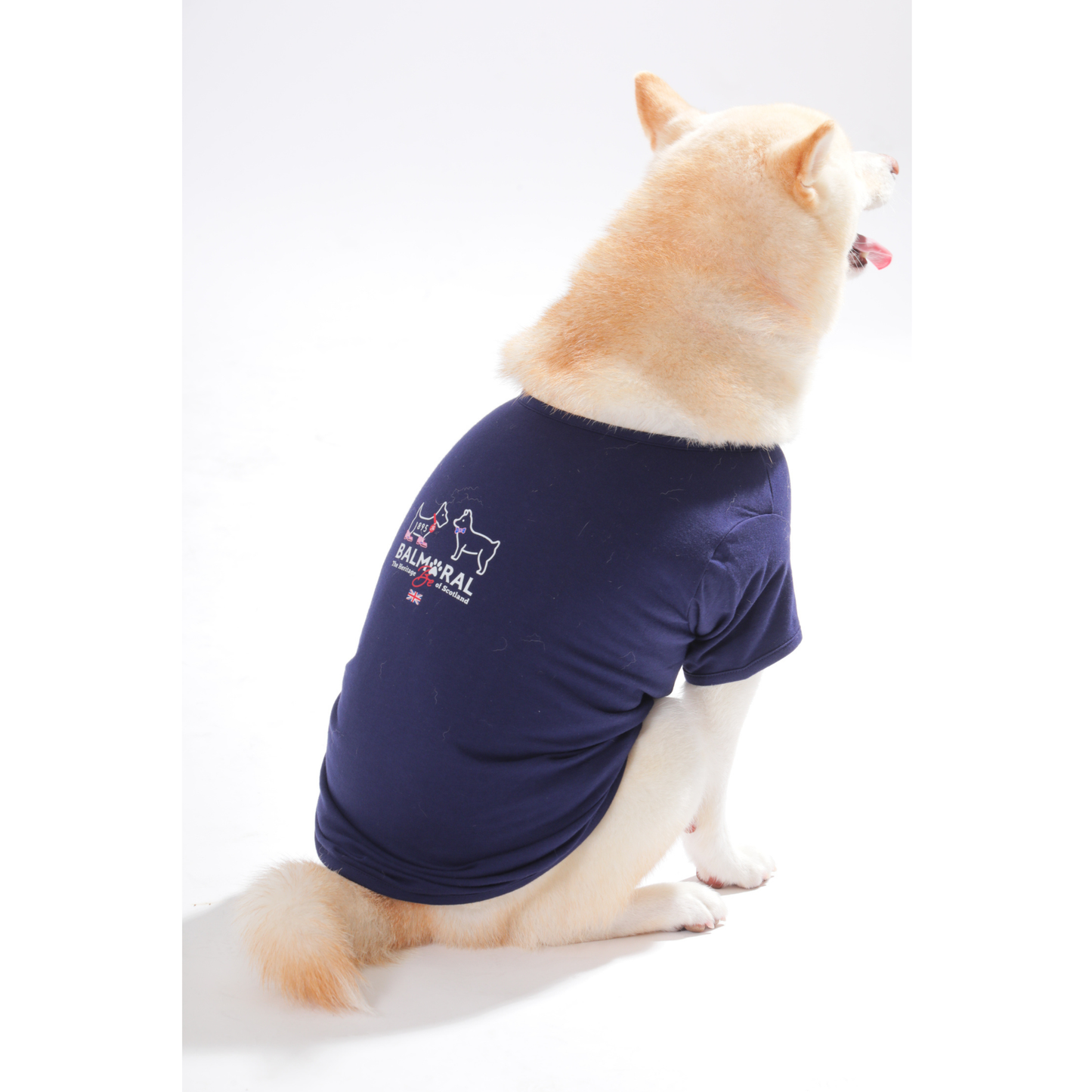 男色ディーノとハク×BM ドッグウェア / Tシャツ（S〜3XL）+PURE WASH SHAMPOOセット