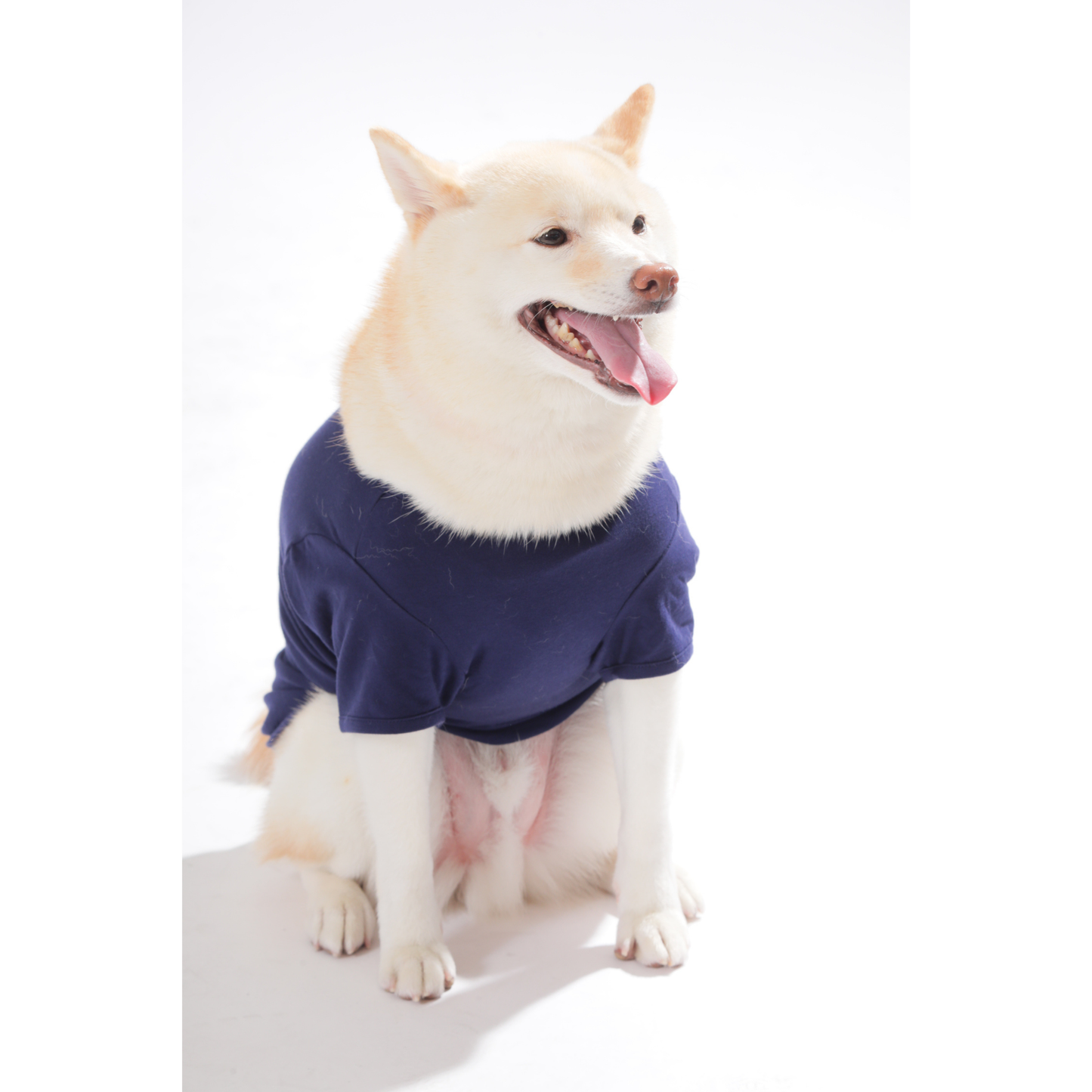 男色ディーノとハク×BM ドッグウェア / Tシャツ（S〜3XL）+PURE WASH SHAMPOOセット