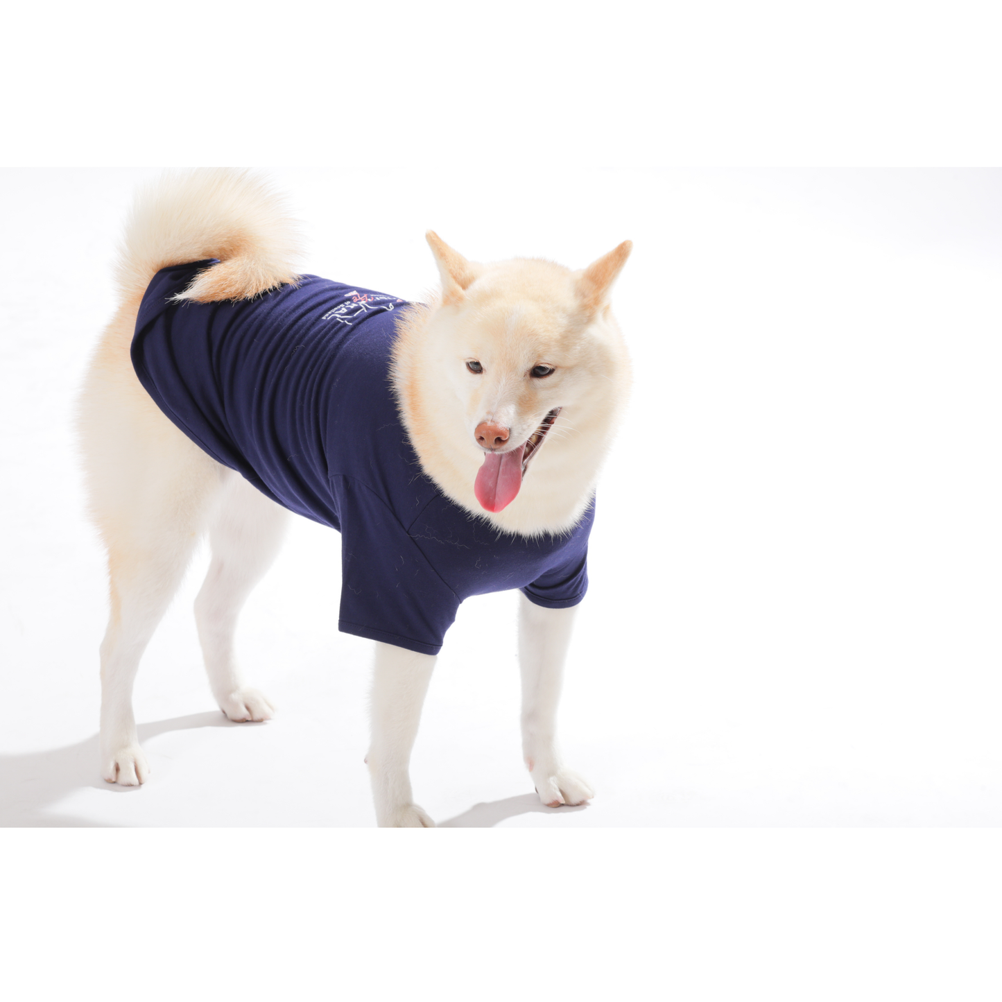 男色ディーノとハク×BM ドッグウェア / Tシャツ（S〜3XL）+PURE WASH SHAMPOOセット