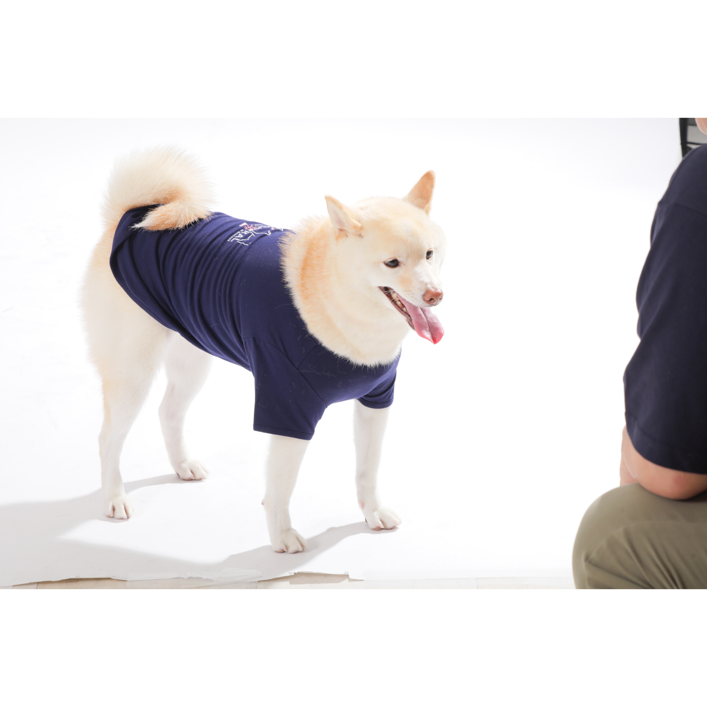 男色ディーノとハク×BM ドッグウェア / Tシャツ（S〜3XL）+PURE WASH SHAMPOOセット