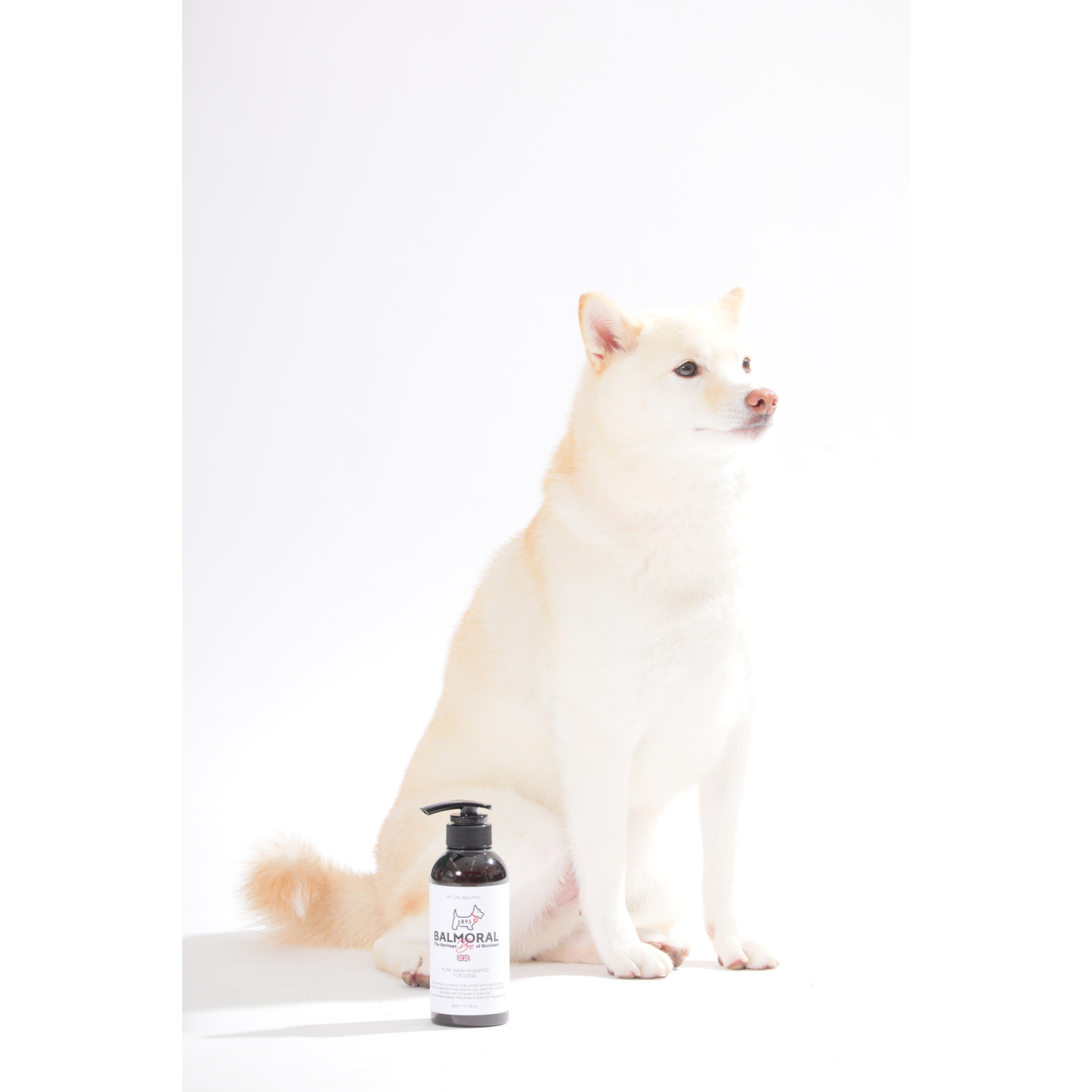 男色ディーノとハク×BM ドッグウェア / Tシャツ（S〜3XL）+PURE WASH SHAMPOOセット
