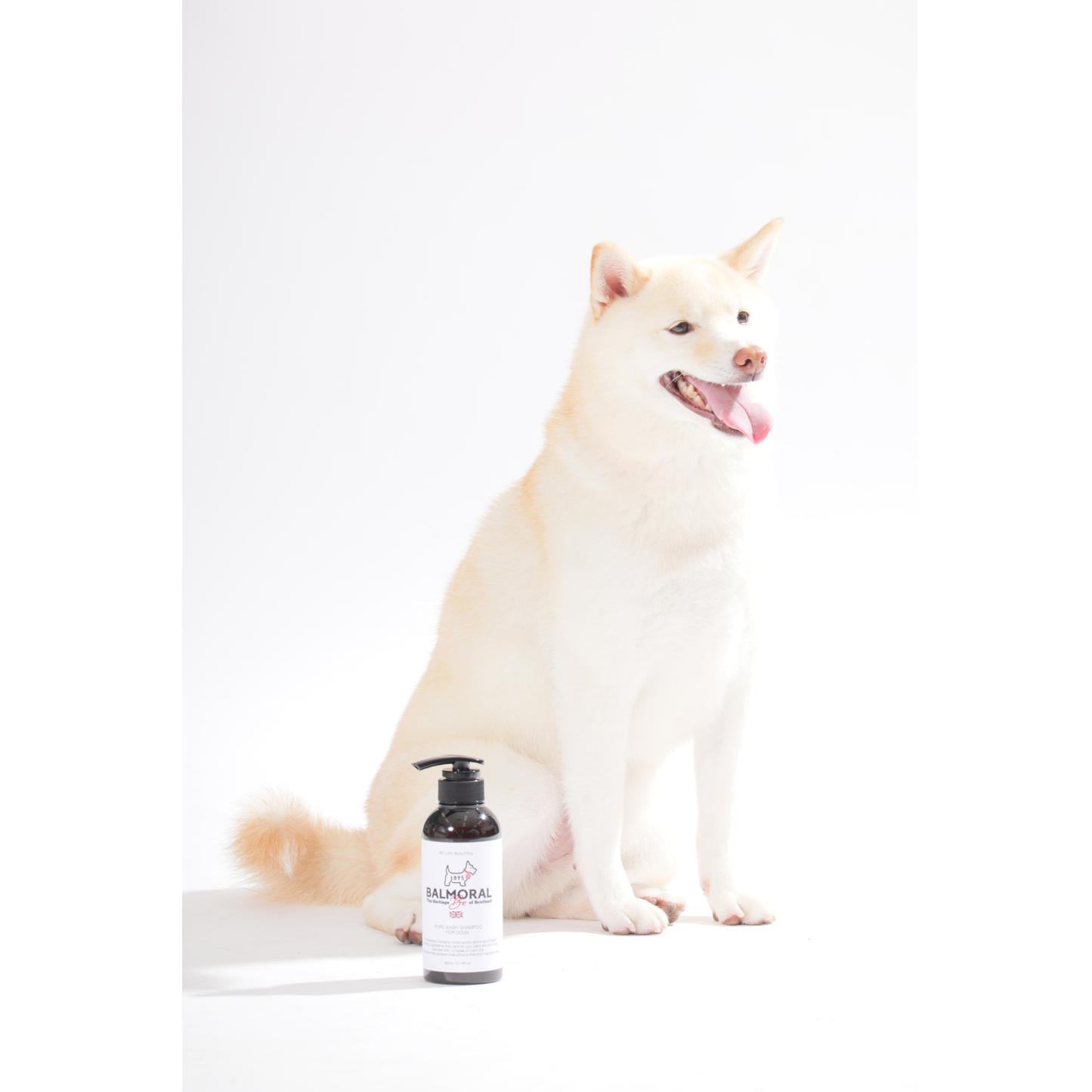 男色ディーノとハク×BM ドッグウェア / Tシャツ（S〜3XL）+PURE WASH SHAMPOOセット