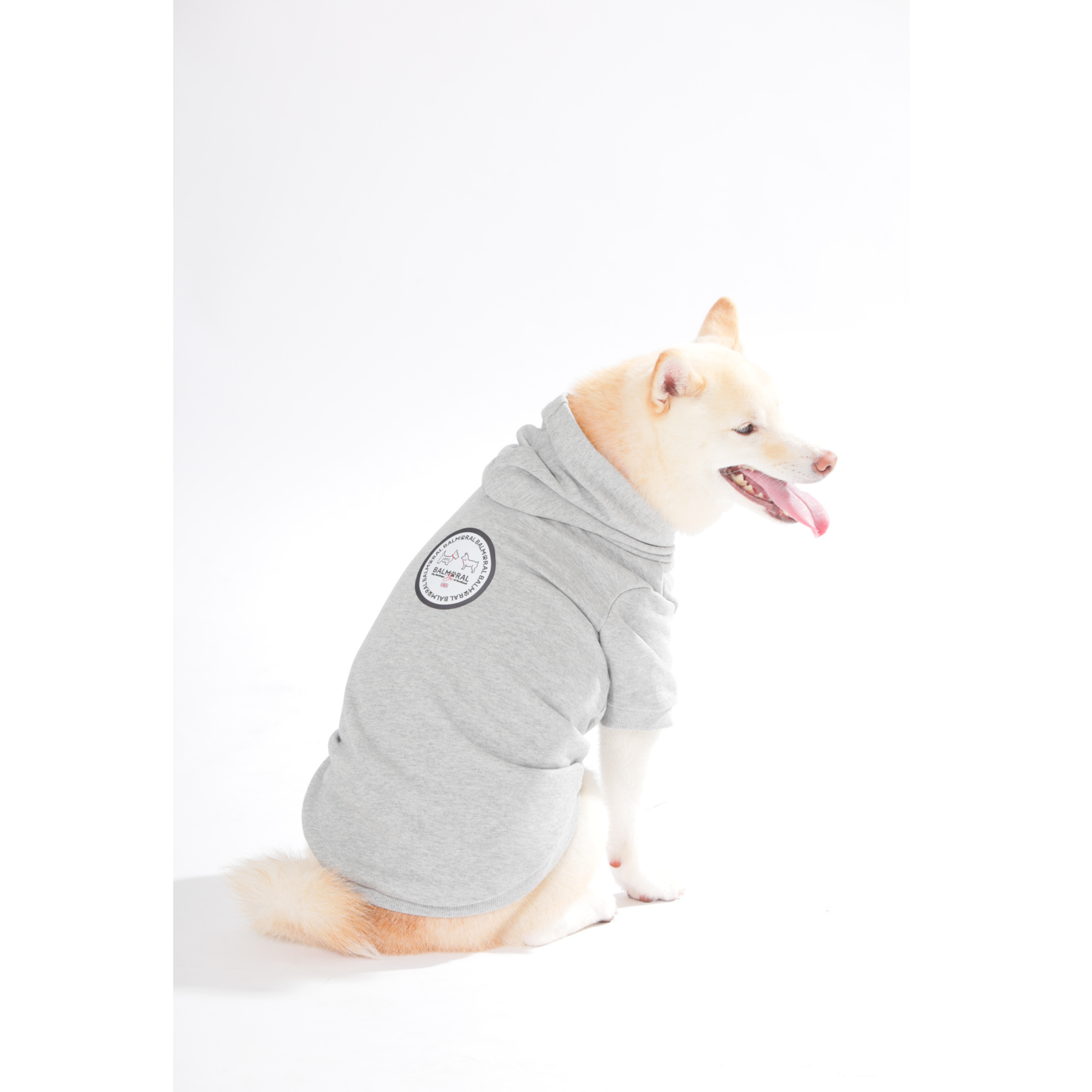 男色ディーノとハク×BMドッグウェア / パーカー（M〜2XL）+PURE WASH SHAMPOOセット