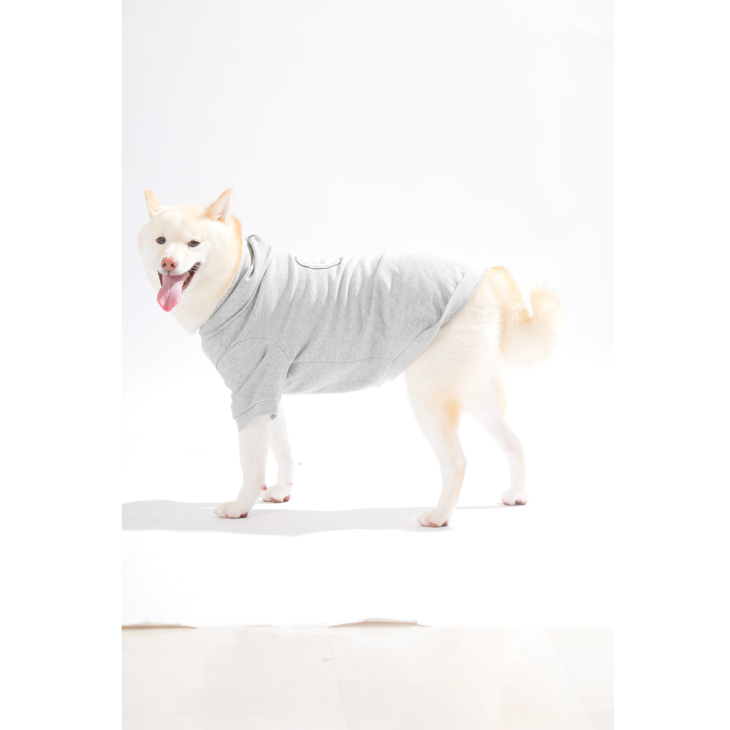 男色ディーノとハク×BMドッグウェア / パーカー（M〜2XL）+PURE WASH SHAMPOOセット