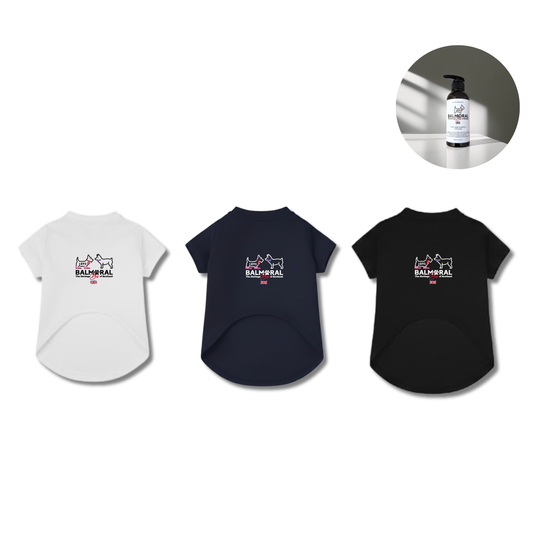 男色ディーノとハク×BM ドッグウェア / Tシャツ（S〜3XL）+PURE WASH SHAMPOOセット